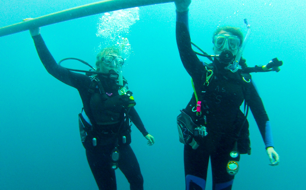 Scuba students holding onto a tube underwater during scuba diving session