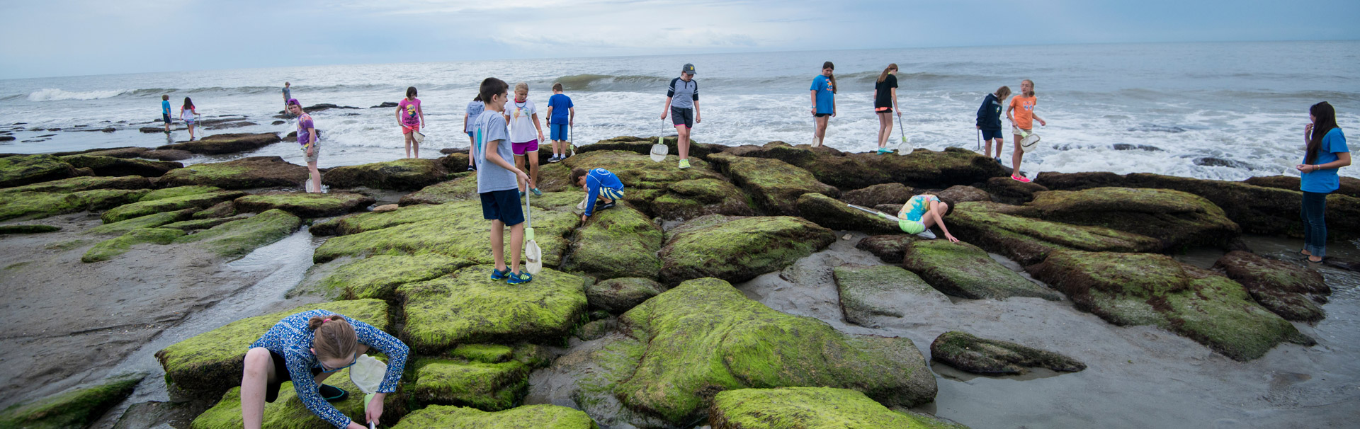 Class inspecting the Coquina rocks at Kure Beach