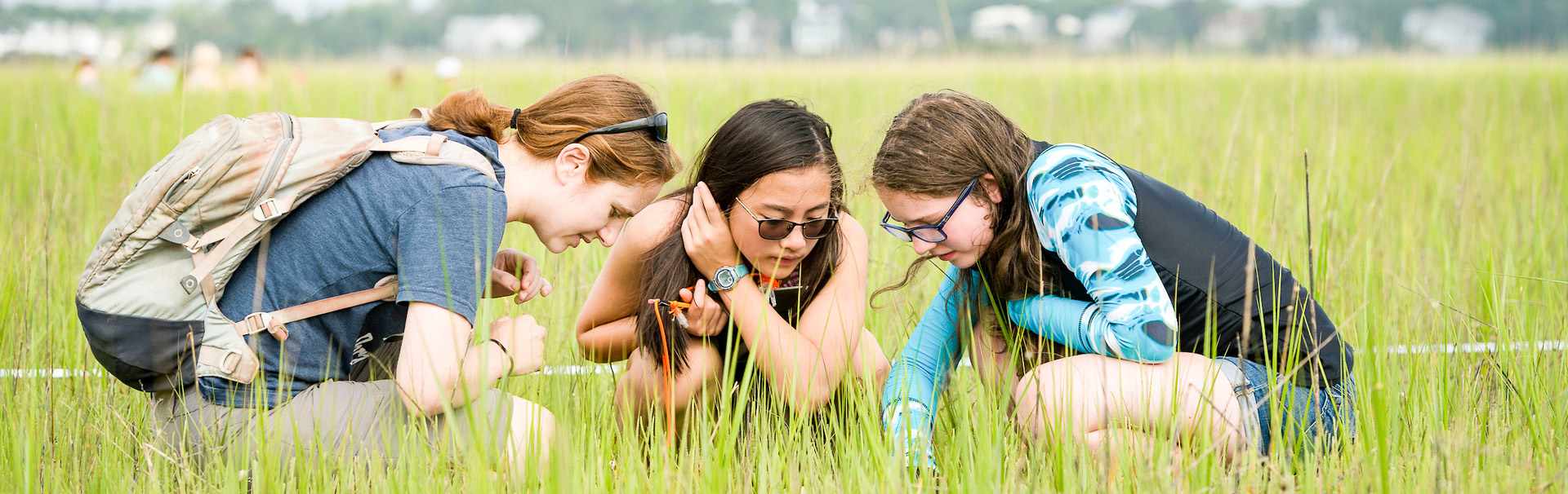 Students kneeling in Marsh examining the wildlife