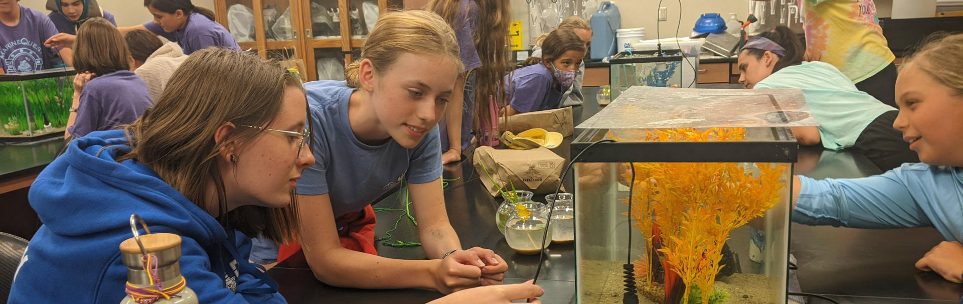 Ocean lab tanks with youth students
