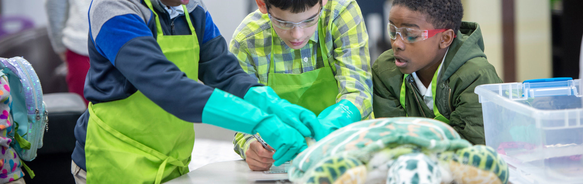 3 students dissecting plush turtle