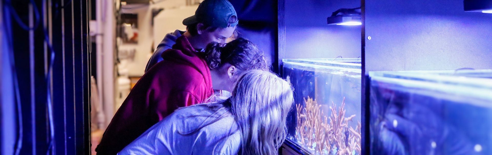 Students looking through an aquarium