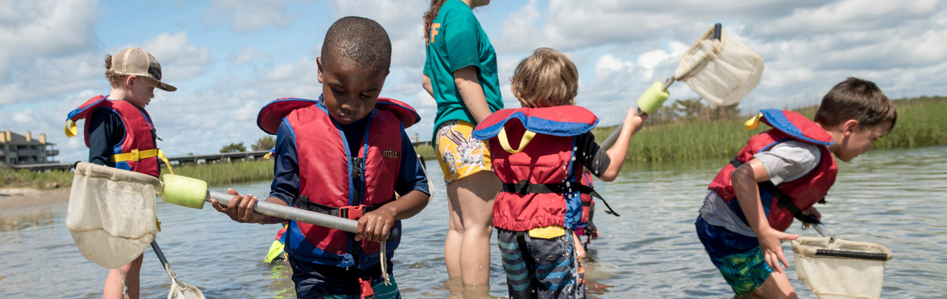 Children with nets walk through a marsh looking for marine specimens to collect