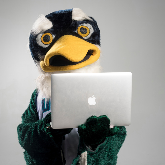 Sammy Seahawk with a MacBook